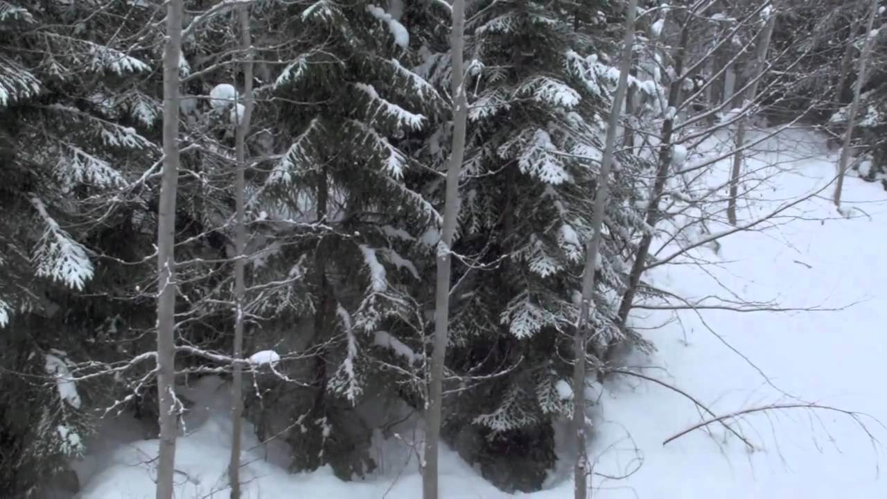 honeymoon trailer imovie11