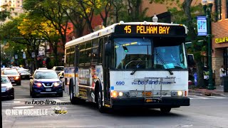 Famous Bee-Line System: Bus Action @ North Av & Main St, New Rochelle, NY (HD 60FPS) Wealth