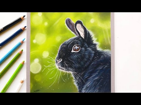 drawing-a-realistic-bunny-rabbit-with-pastel-pencils-|-leontine-van-vliet