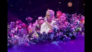 Lirik dan Terjemahan : Supermarket Flowers, Cover by Alvin Jonathan #youtube #music #lirikterjemahan