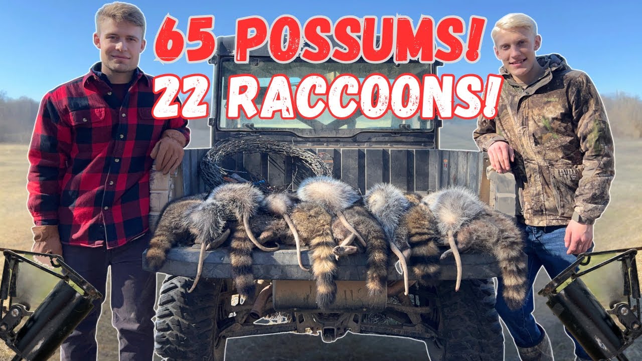 100 Predators Exterminated! | How to Trap Raccoons & Possums - YouTube