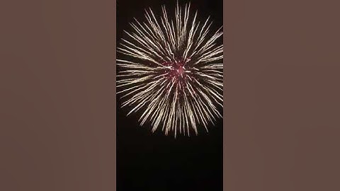 8" inch shell - Enigma brocade crown to red pistil 200MM