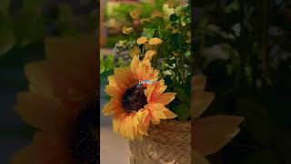 Nothing Was Accidental ✨ | Inside a Perfectly Planned Luxury Wedding | Panchsheel Events