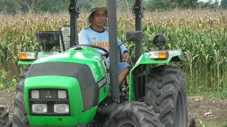 Petani Bajak Sawah Pakai Traktor tapi Sewaan - Hari Pertama Kembali ke Sawah setelah 1/4 Abad