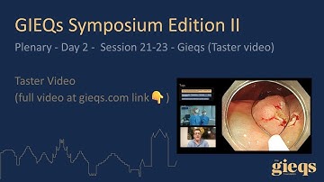 Plenary - Day 2 -  Session 21-23 - Gieqs (Taster video)