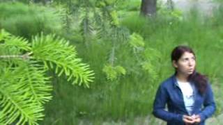 Tania - Samo Tebe Imam Boje