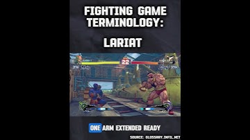Lariat: Fighting Game Terminology