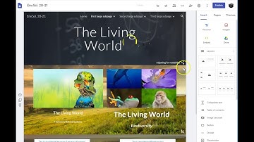 E-Portfolio Video #2