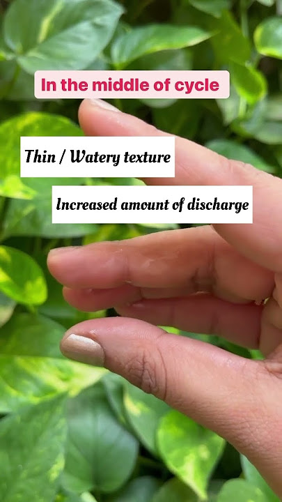 Different vaginal discharge during the month (normal )😉 #nursing #womens