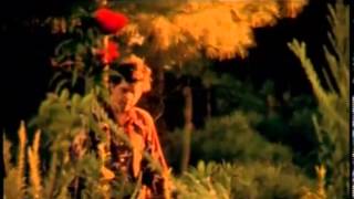 Video thumbnail of "Sparklehorse - Sunshine (Official Video)"