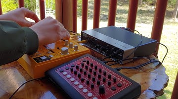 Behringer TD-3 and MFB-522