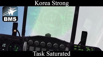 [Falcon BMS] - Flight Leader Task Saturated