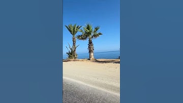 تلاوة خاشعة  من《سورة  القلم 》لفضيلة الشيخ سعود الشريم