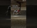 #fypシ゚viral #horse #equestrianjourney #tiktok #equestrian #thankyou #edit #horsetrack