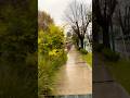 Martes de lluvia 🌧️ pero trank