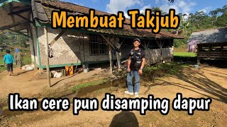 Download Lagu Rumah kayu sederhana di tengah sawah tapi bikin betah MP3 Download Lagu Rumah kayu sederhana di tengah sawah tapi bikin betah MP3