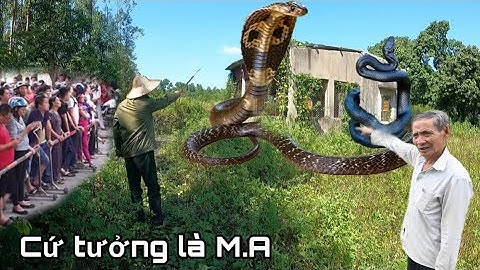 Cuộc Gọi Khẩn Cấp Ông Lão 80 Tuổi K.inh S.ợ Thấy Rắn Nằm Vắt Vẻo Trên Căn Nhà Bỏ Hoang !