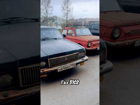 Давненько такого не видел #shorts #газ3102 #газ #волга #заз968м #запорожец