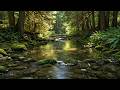 🌊 Instantly Relieve Stress: 30 Min Soothing Water Sounds & Deep Healing Music