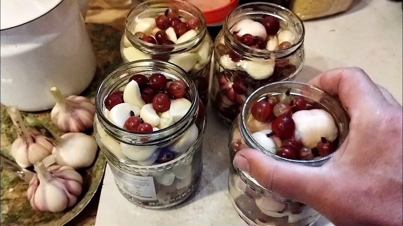 Маринованный чеснок с крыжовником. Маринованный крыжовник на зиму. Маринованный крыжовник на зиму. Чеснок с крыжовником на зиму. Чеснок с крыжовником на зиму.