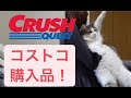 【コストコ】今月買ったものをただ紹介します。