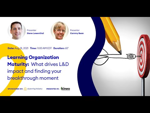 Learning Organization Maturity