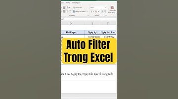 Auto Filter Trong Excel Bạn Có Thể Chưa Biết #excel #autofilter