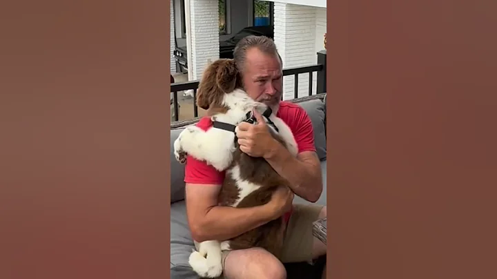 Dad breaks down into tears after family surprises him with new puppy 🥹❤️ - DayDayNews