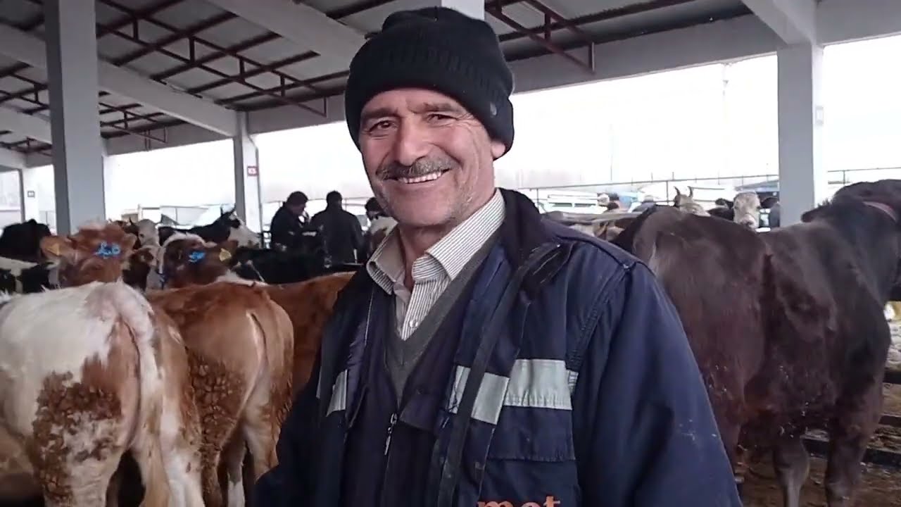 KAHRAMANMARAŞ GÖKSUN HAYVAN PAZARI 17 Şubat 2026