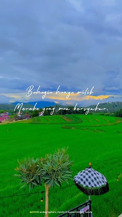 Story keren versi Bugis #shorts