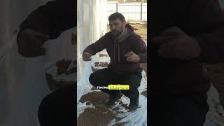 Как защитить фундамент от влаги зимой, если вы не достроили дом?! #фундамент #утеплениеотмостки