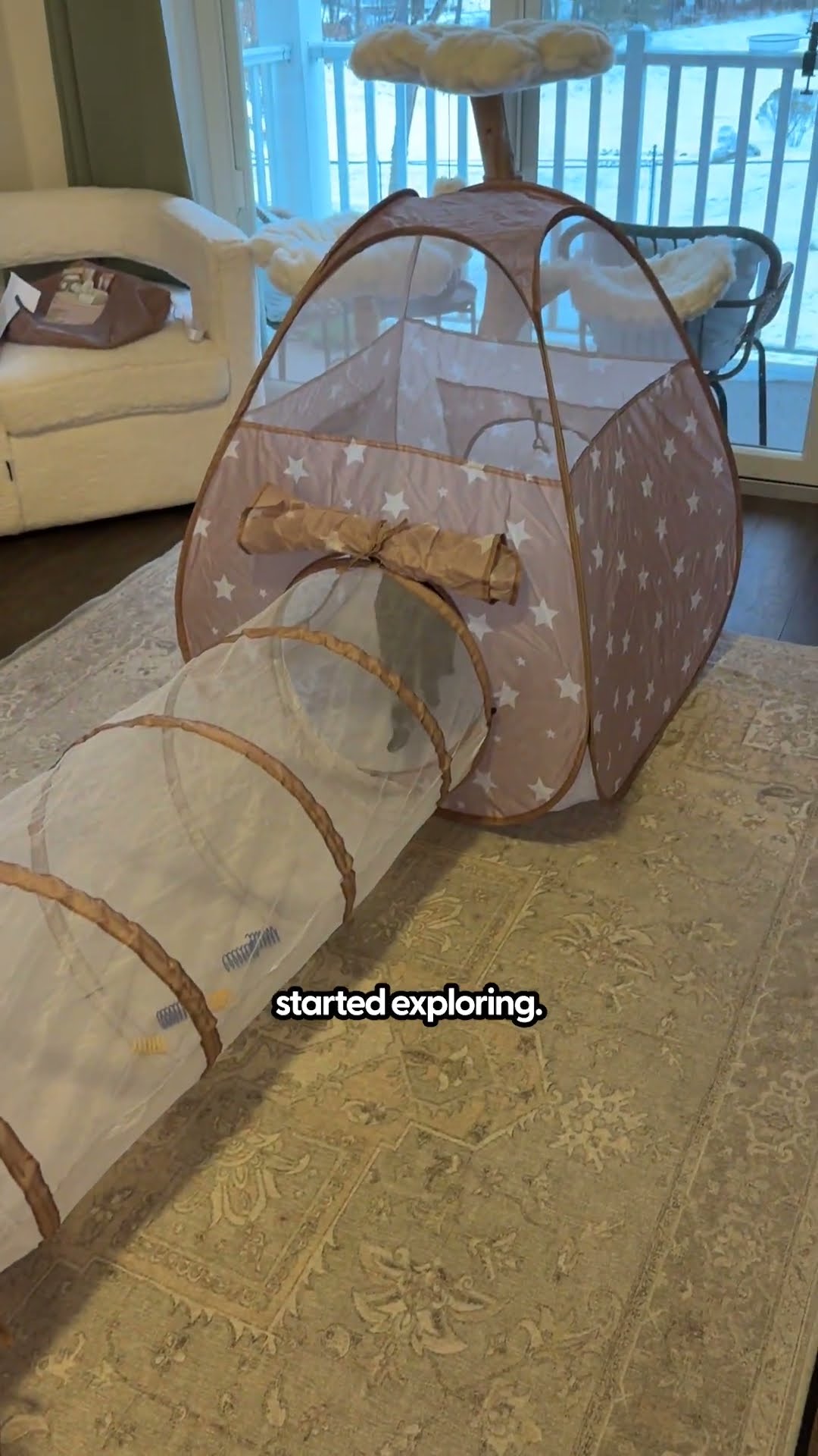 Kids Tent Is The Ultimate Cat Hangout | The Pack