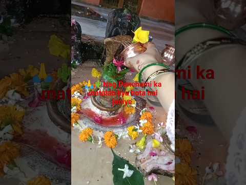 🙏21 अगस्त 2023 दिन सोमवार को नाग पंचमी की पूजा का मतलब क्या है जानिए