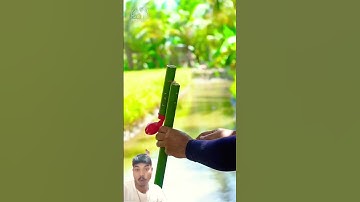 Diy Slingshots Creation with Colour balloone  #bamboo #bambooart #slingshot #diy #shorts