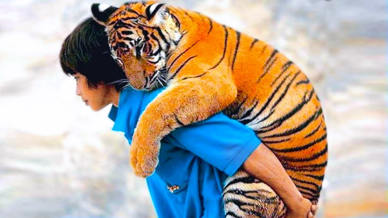 20 Incredible Friendships Between Humans And Animals - YouTube