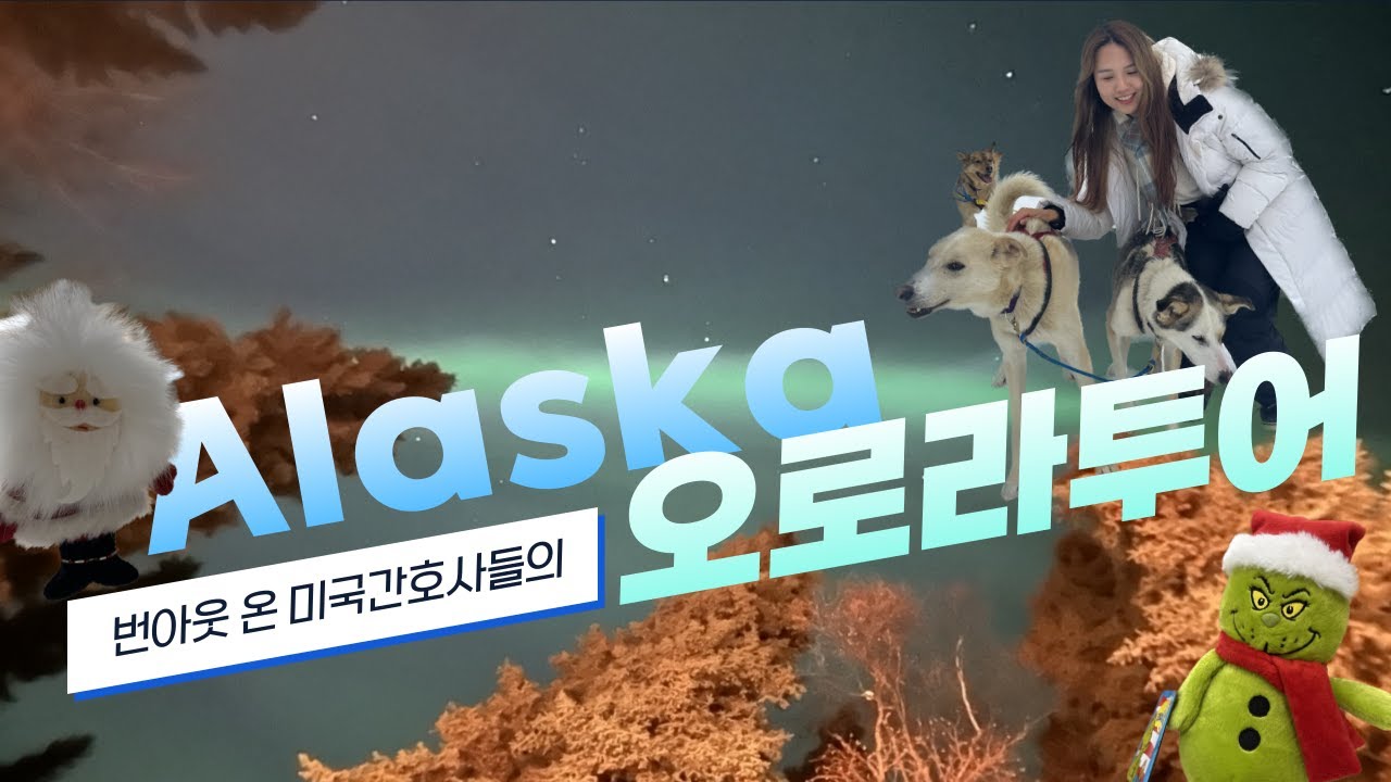[미국간호사] 번아웃 온 미국간호사의 4일 오프, 알래스카 오로라 투어 Aurora Chasing Tour