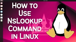 Celebrity How to Use NsLookup Command in Linux Wealth