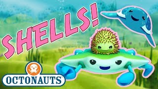Octonauts  Learn about Shells | Cartoons for Kids | Underwater Sea Education