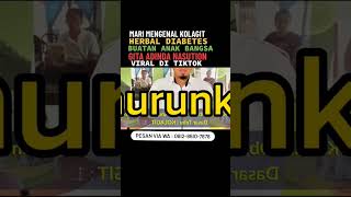 mari mengenal Kolagit Herbal Diabetes Buatan Anak Bangsa Gita Adinda Nasution yang Viral #kolagit