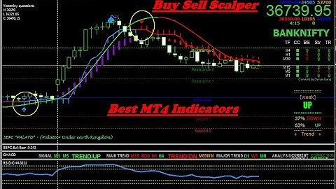 Banknifty future live chart MT4 | MT4 indicators | buy sell signal indicators | Banknifty live Chart