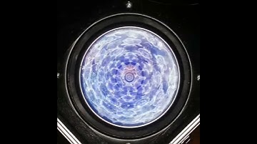 Sonic Mitosis