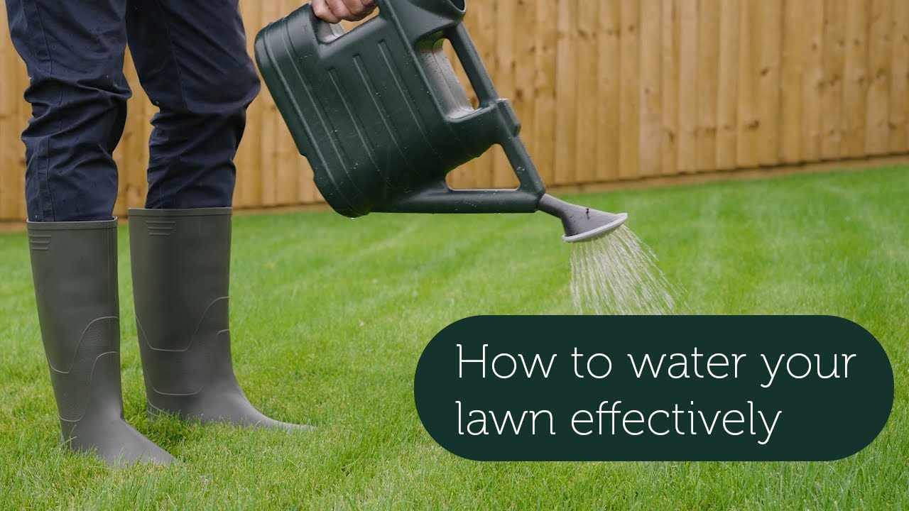 How to water your lawn effectively - YouTube