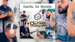 Video thumbnail of "Ultimo Pacto - Hierba de Receta"