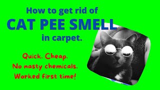 How To Get Rid Of CAT PEE SMELL Using Baking Soda and Vinegar