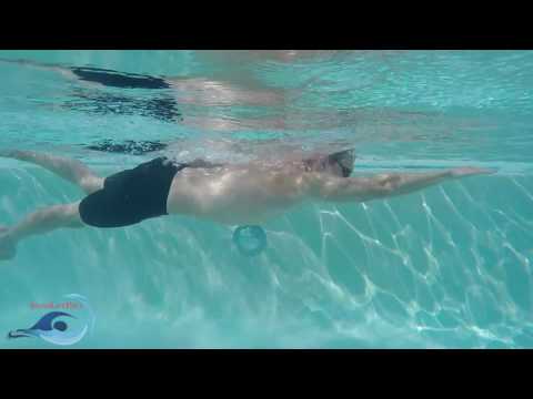 Learn to Swim - Freestyle Part 1