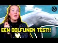 ROMY in doet een test met DOLFIJNEN | CHECKPOINT STORIES