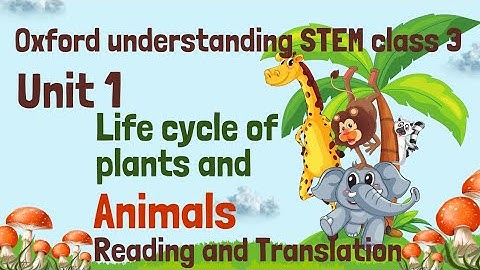 Oxford understanding STEM class 3 unit 1 life cycle of plants and animals reading and translation