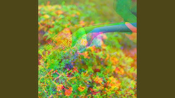 Casual Backdrops for Good Options