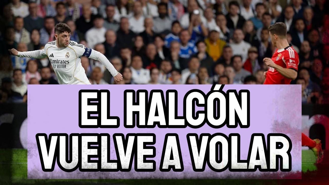 MIS NOTAS A LOS JUGADORES DEL REAL MADRID TRAS EL 2-1 AL BENFICA | FEDE VALVERDE VUELVE A VOLAR