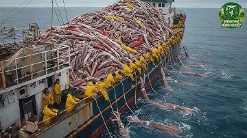 Ngư Dân Đánh Bắt Hàng Triệu Tấn Mực, Tôm Hùm Và Cua Hoàng Đế – Quy Mô Khiến Cả Thế Giới Choáng Váng!